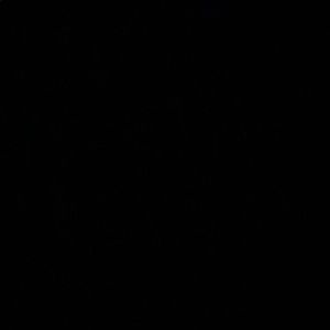 Meet your Posher, Alfred